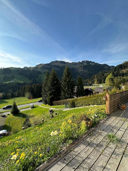 Chalet Du Moleson Грюйер Экстерьер фото